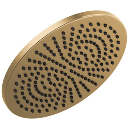 Delta Universal Shwring Comp 1-Setting Metal Raincan Shower Head CB 52158-CZ25